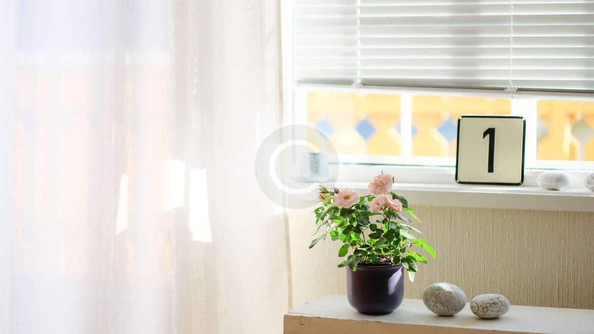 Faux Blinds
