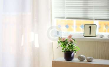 Faux Blinds